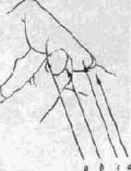 ���������� ������������ � ���������� ��������