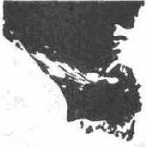 ������������ ����