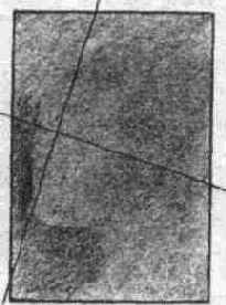 �������� �������: ���� ��������� �� ����