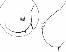 ���� > ������� ����� (����� 1)