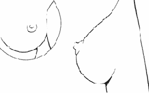 ���� > ������� ����� (����� 1)