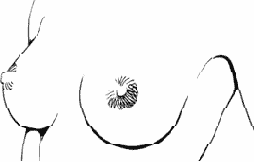 ���� > ������� ����� (����� 1)