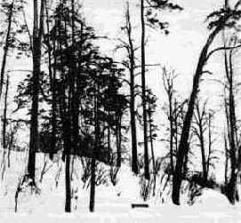 ������ ������ ��������� ���������� � ��� ��������������� ��������