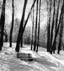 ������ ������ ��������� ���������� � ��� ��������������� ��������