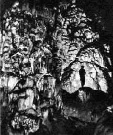 ������ ������ ��������� ���������� � ��� ��������������� ��������