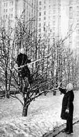 ������ ������ ��������������� ������� ����