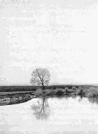 ������ ��������� ��������� � ��������������� ����� �����