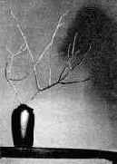 ������ ����� � ��������� ���������� ��������� ���������