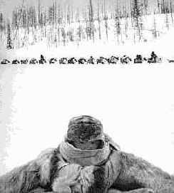 ������ ������ �������������� ����������