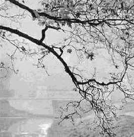 ������ ������� ����������� ������� �����