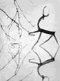 ������ ������� ����������� ������� �����