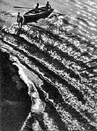 ������ ������� ����������� ������� �����