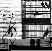 ������ ������� ����������� ������� �����