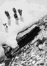 ������ ������� � ������ ��������� ���������������� ������� ������