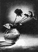 ������ ������� ��������� ������� ������