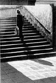 ������ ������������ ������������������ �����