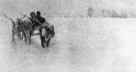 ������ ������������� �������� ������ �� ������ � ��������� ���������������