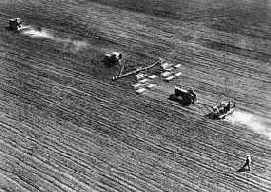 ������ ������������ ������������ ����������