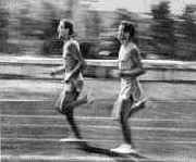 ������ ������������ ������������ ����������