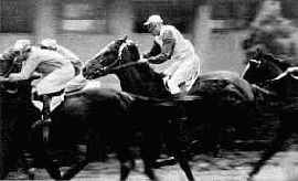 ������ ������������ ������������ ����������