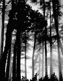 ������ ����������� ������ � ��������� ������ � ����� ����������