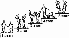 Этапы выполнения работы