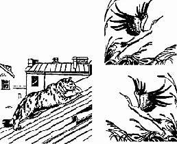 Свойства диагоналей