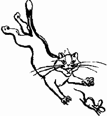 Шкала глубины резкости