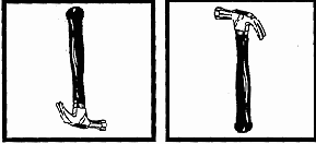 Верх и низ снимка