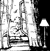 «Эффект тоннеля»