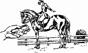 Измерение экспозиции