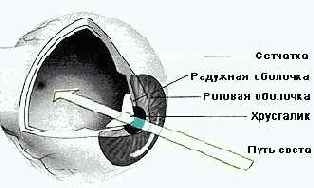 Глаз и чувствительность пленки