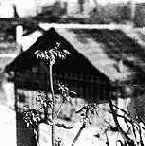 Как работает фотокамера