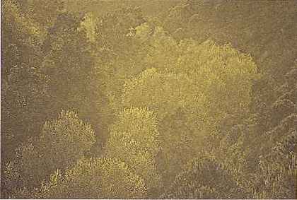 ЭРНСТ ХААС: Творческое осмысление цвета