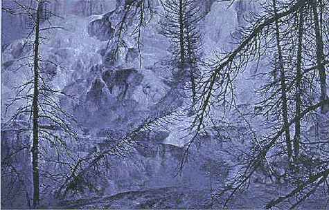 На этой фотографии состояние покоя