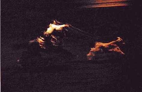 в этой работе, выражая лейтмотив