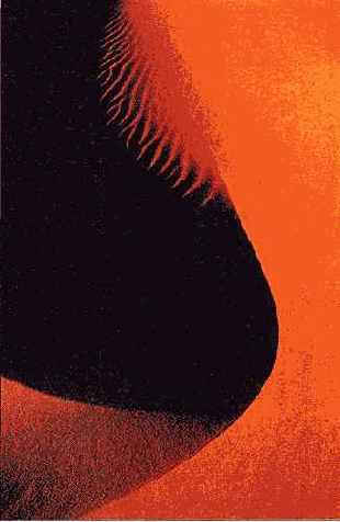 Найдя необычную точку съемки, Тернер