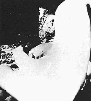 Фото вверху являет собою пример