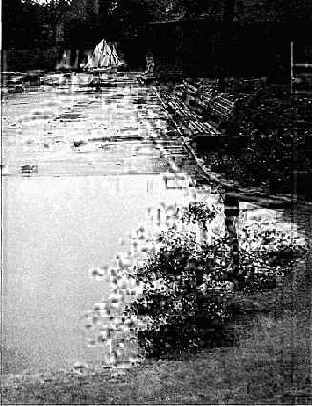 в фотографию элемент сюрреализма. Тональные