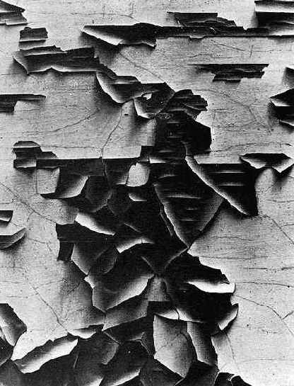 Подобно картинам абстрактных экспрессионистов, крупноплановое