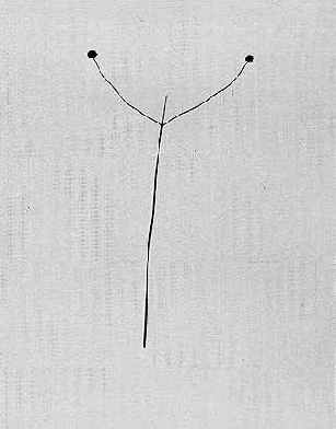 свидетельство необычайной простоты, характерной для