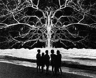 Этим комбинированным изображением Ульсманну удалось