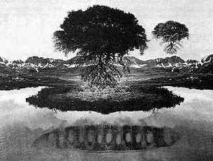 помещенное ниже, построено, как видно,