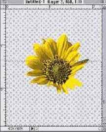 ������ � ����