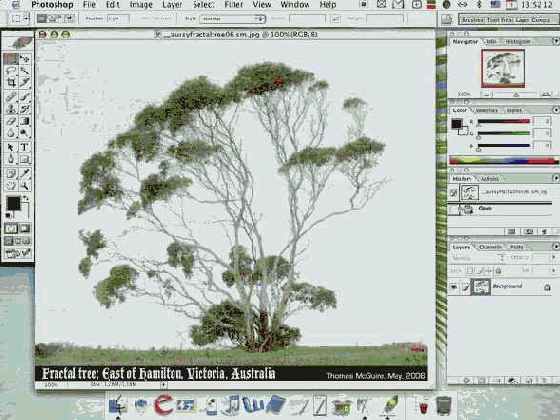 ������������ ��� ��������� �����������: ������ 