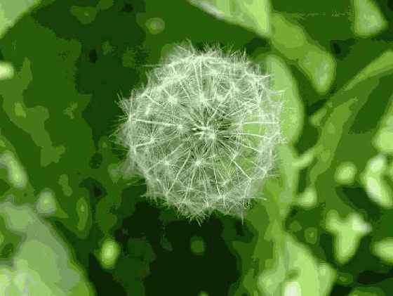 ���������� ����������: ������ ��� ������ 