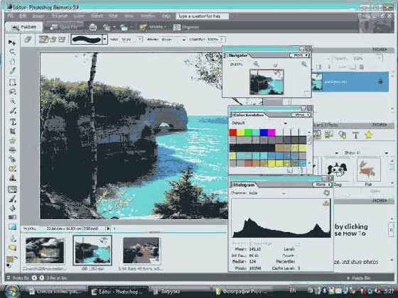 Adobe Photoshop Elements: ������ ��� 