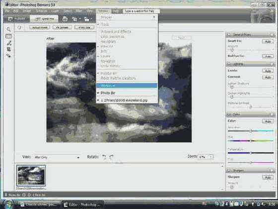 Adobe Photoshop Elements: ������ ��� 