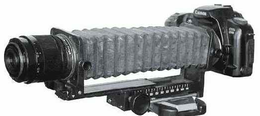 ����������� ����������� ����������: ������ ��� 