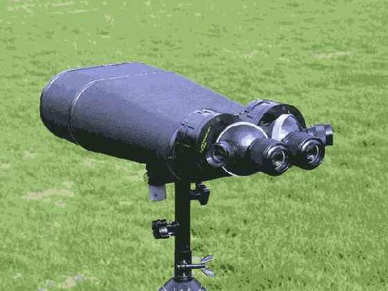 ����������� ����������� ����������: ������ ��� 